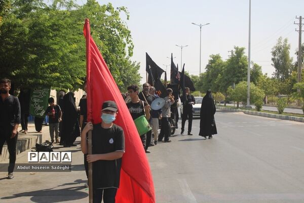 پیاده‌روی دلدادگان اربعین حسینی در بوشهر
