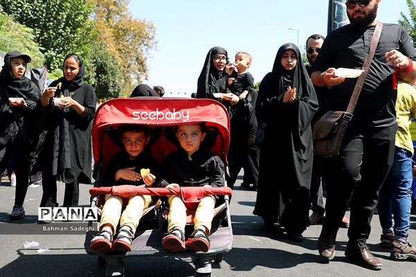 پیاده‌روی جاماندگان اربعین-تهران /3