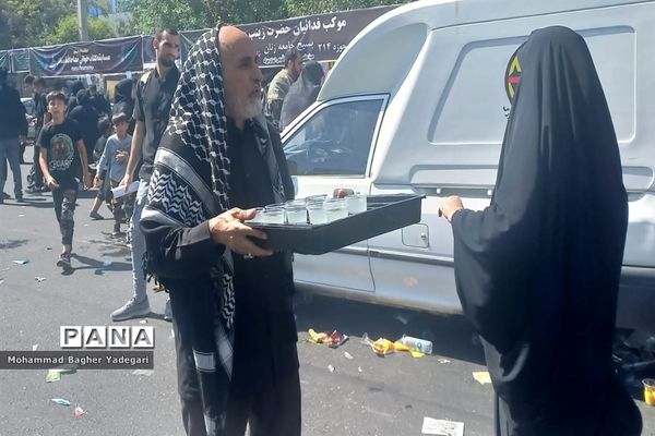 مراسم پیاده‌‌روی دلدادگان حسینی(ع) در تهران