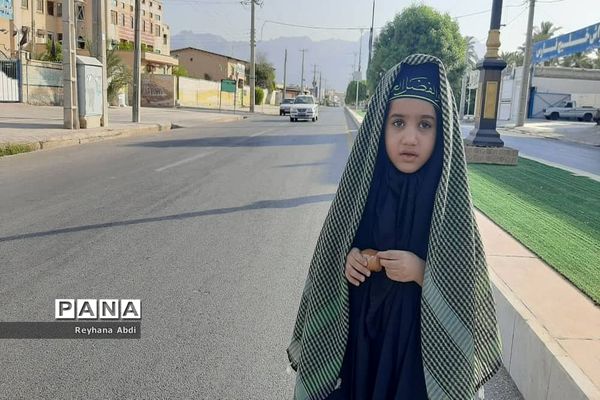 پیاده‌روی جاماندگان اربعین در اهرم تنگستان