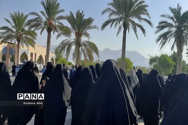 پیاده‌روی جاماندگان اربعین در اهرم تنگستان