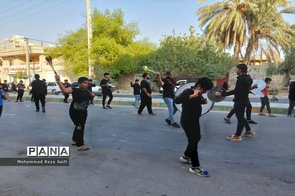 پیاده‌‌روی جاماندگان اربعین حسینی در گناوه