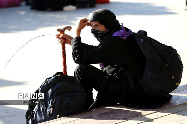 آئین پیاده‌روی جاماندگان قافله عشق از مرز شلمچه تا کربلا