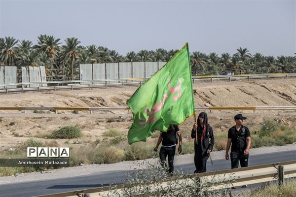پیاده‌روی عاشقان سیدالشهدا در مسیر کربلا