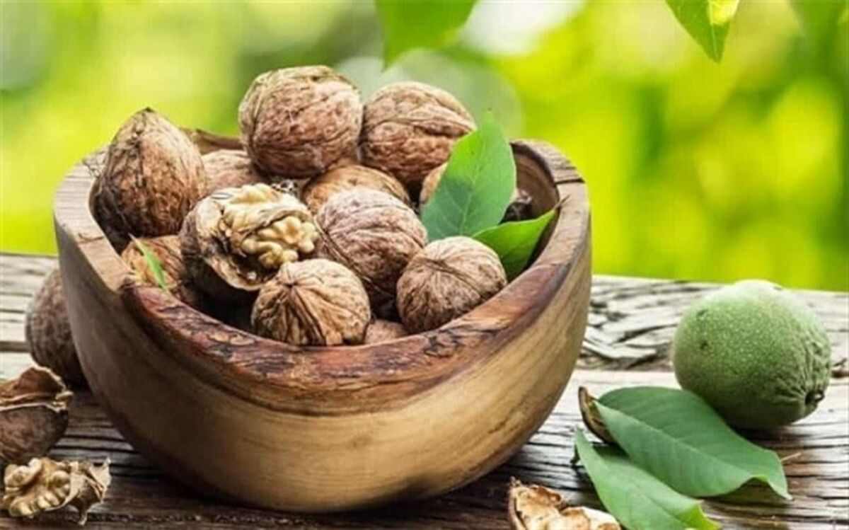 ۵ روش ساده برای خشک‌کردن گردوی تازه