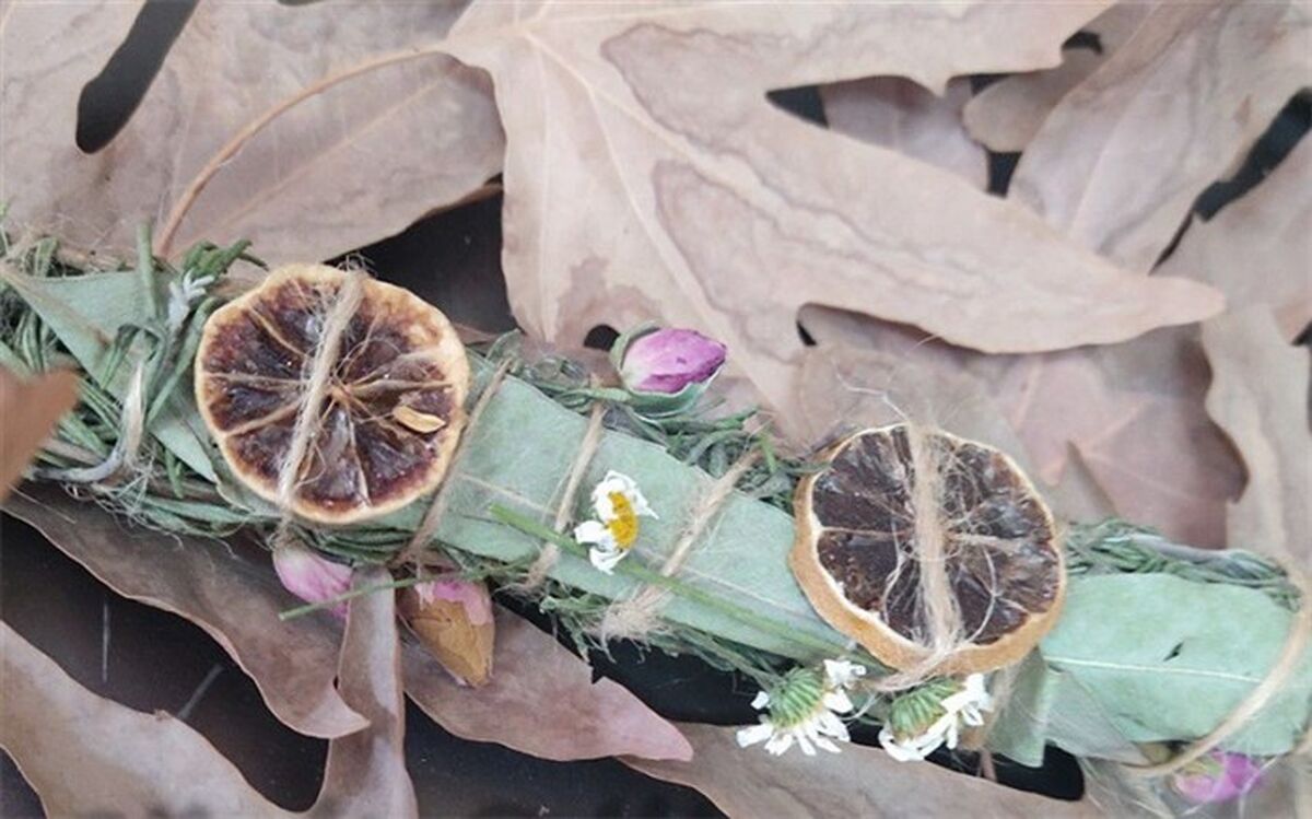 کسب رتبه سوم استانی در جشنواره خوارزمی، برای ساخت عود گیاهی توسط دانش‌آموزان جوادآباد