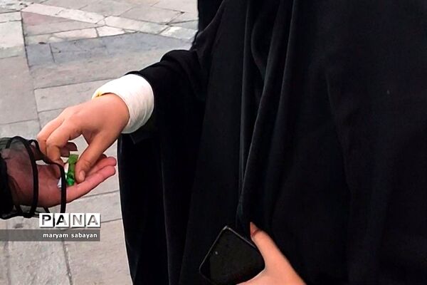 اجرای طرح حریر حیا در حرم سید علاءالدین شیراز