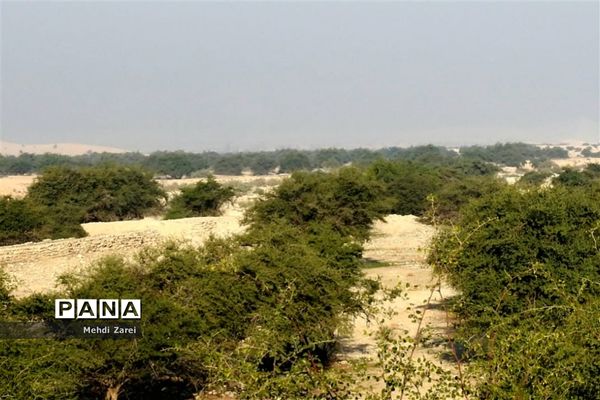 طبیعت زیبای بند ریگ فراشبند