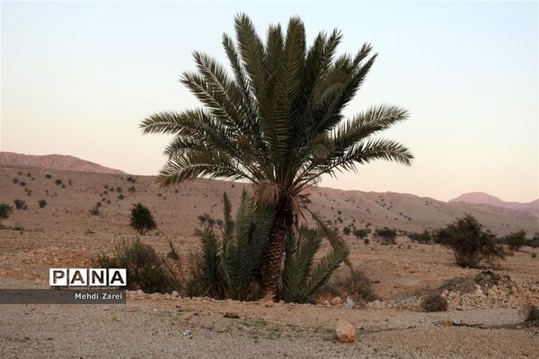 طبیعت زیبای بند ریگ فراشبند