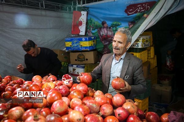 جشنواره «صد دانه یاقوت»