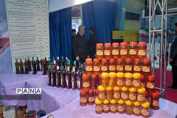 برگزاری نمایشگاه پژوهش و فناوری در البرز به‌مناسبت هفته پژوهش