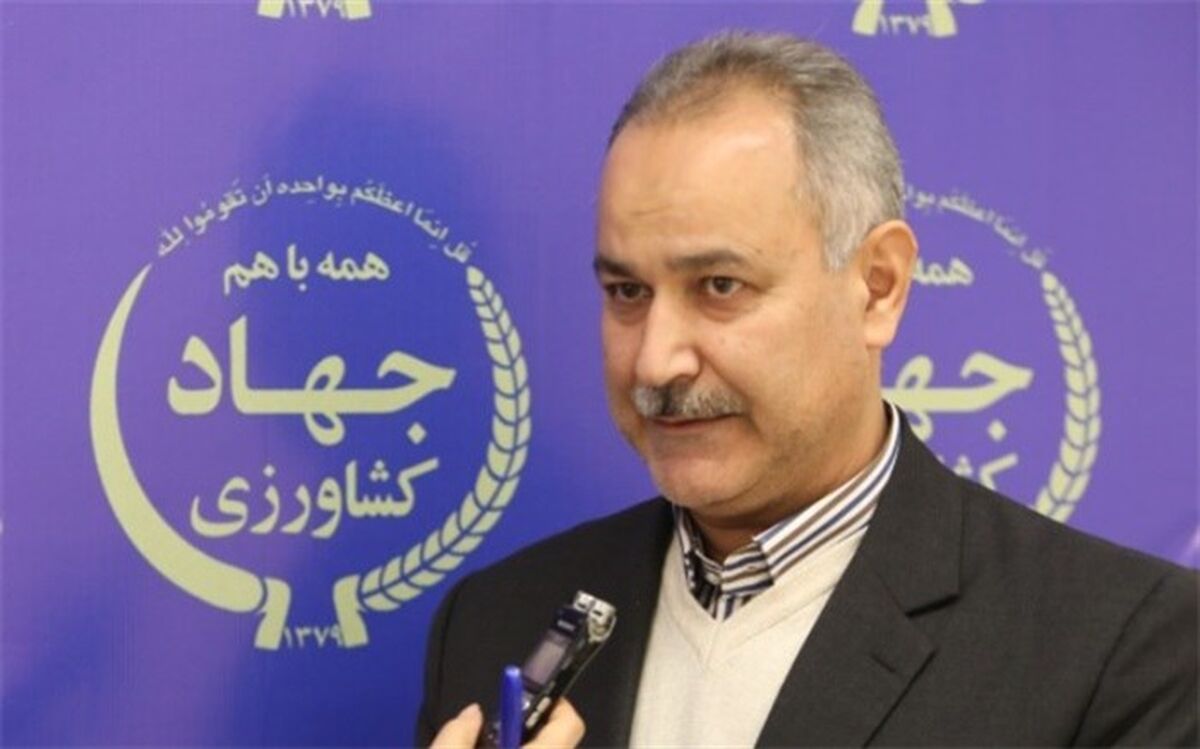 هدفگذاری برای اجرای ۵۰۰ هزار هکتار کشاورزی حفاظتی در سال زراعی جاری