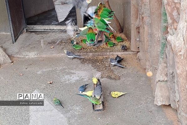 باغ وحش ارم در یک روز تعطیل  پاییزی