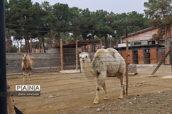 باغ وحش ارم در یک روز تعطیل  پاییزی