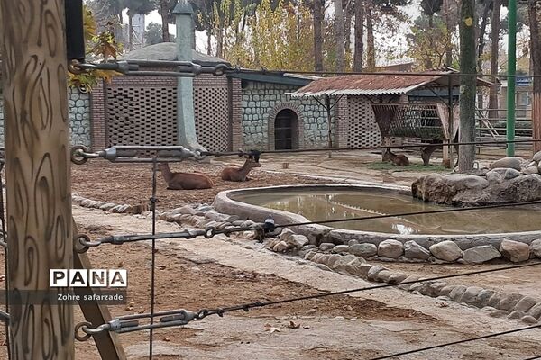 باغ وحش ارم در یک روز تعطیل  پاییزی