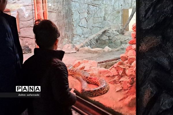 باغ وحش ارم در یک روز تعطیل  پاییزی