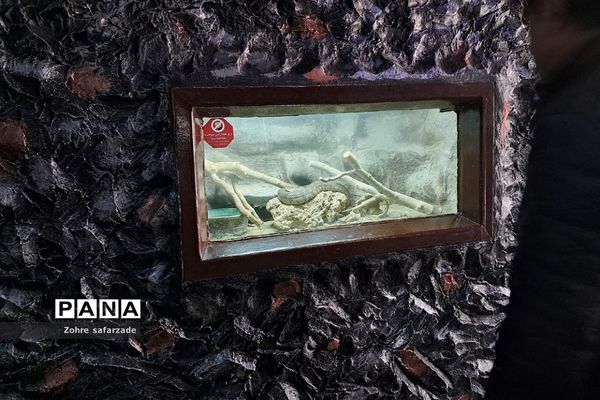 باغ وحش ارم در یک روز تعطیل  پاییزی