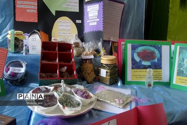 نمایشگاه هفته پژوهش