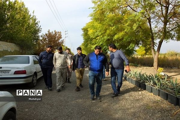 بازدید از مزرعه کرفس شهر جوادآباد