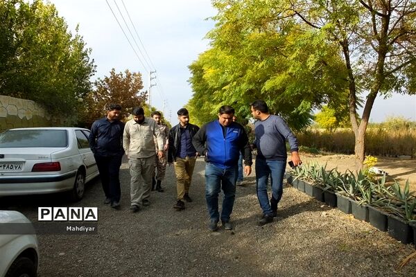 بازدید از مزرعه کرفس شهر جوادآباد