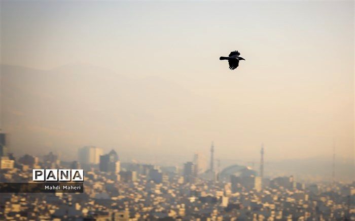 کاهش موقتی آلاینده‌های جوی طی روز آینده