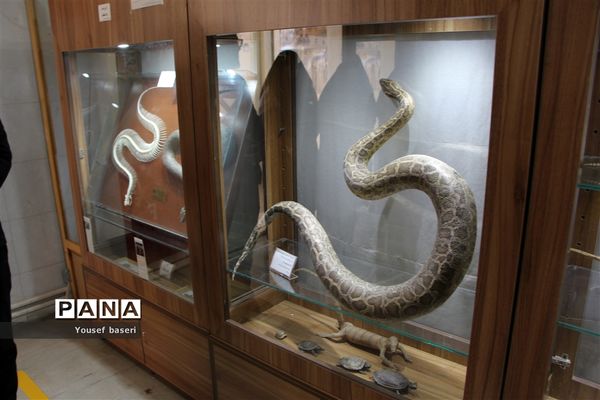 سفر یک روزه رئیس سازمان دانش‌آموزی استان یزد به بهاباد