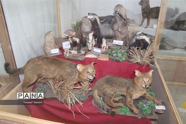 سفر یک روزه رئیس سازمان دانش‌آموزی استان یزد به بهاباد