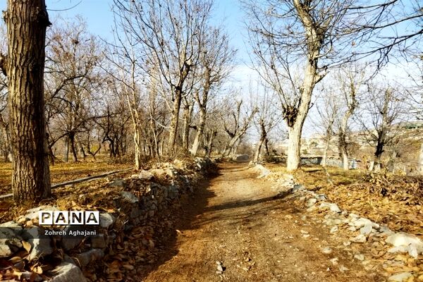 آخرین روزهای پاییزی در روستای بیدهند قم