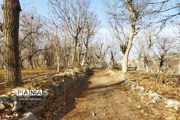 آخرین روزهای پاییزی در روستای بیدهند قم