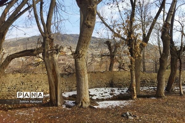 آخرین روزهای پاییزی در روستای بیدهند قم
