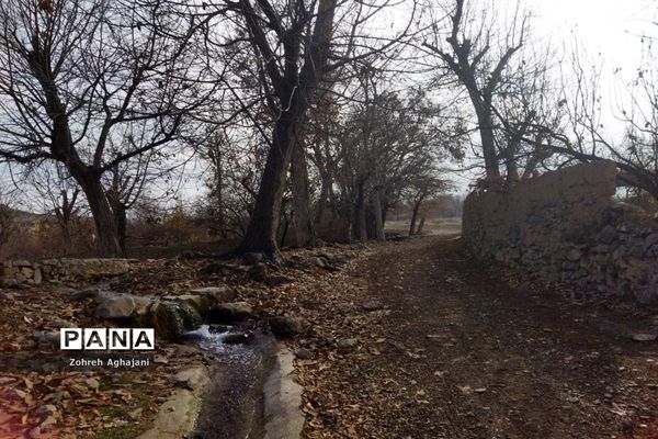 آخرین روزهای پاییزی در روستای بیدهند قم