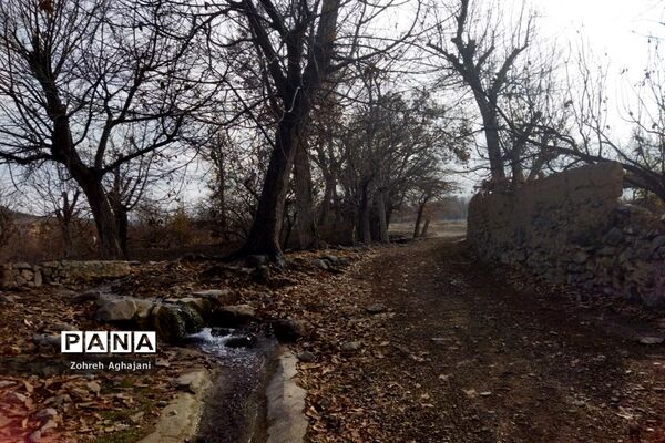 آخرین روزهای پاییزی در روستای بیدهند قم