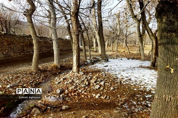 آخرین روزهای پاییزی در روستای بیدهند قم