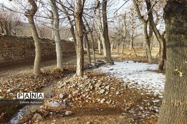 آخرین روزهای پاییزی در روستای بیدهند قم