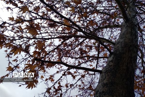 آخرین روزهای پاییزی در روستای بیدهند قم