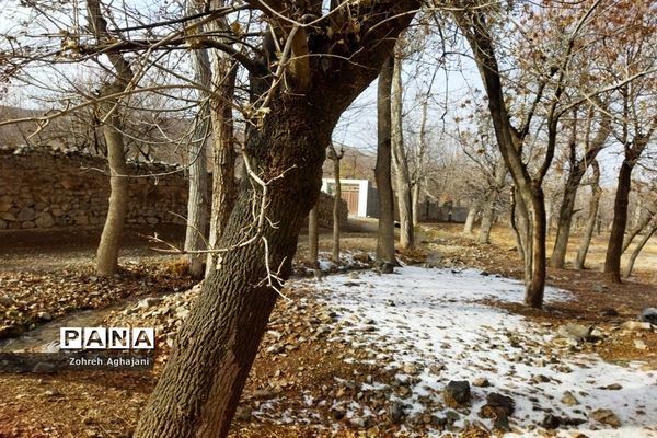 آخرین روزهای پاییزی در روستای بیدهند قم