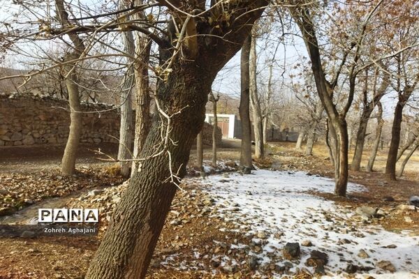 آخرین روزهای پاییزی در روستای بیدهند قم