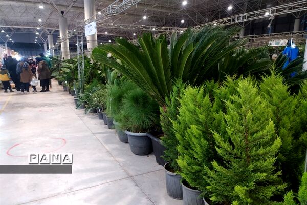 نمایشگاه یلدایی گل و گیاه و صنایع دستی در قم