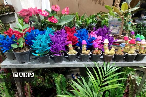 نمایشگاه یلدایی گل و گیاه و صنایع دستی در قم