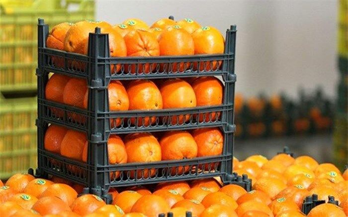 شکل تنظیم بازار میوه شب عید تغییر کرد