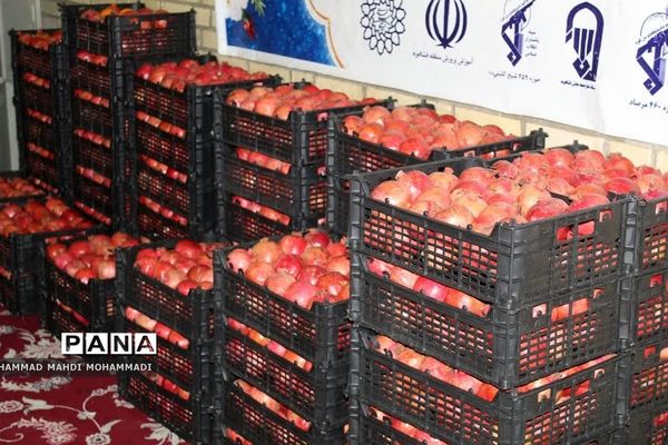 رزمایش کمک‌های مومنانه شب یلدا در فشافویه