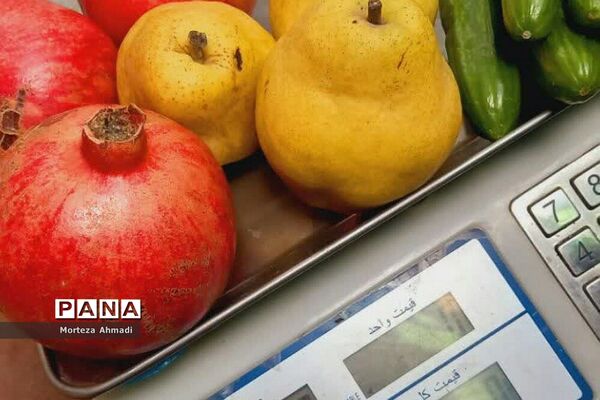 توزیع بیش از ۴۰ بسته یلدایی در مسجد ولیعصر (عج) دیلمان