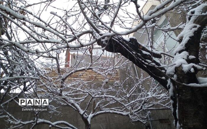 هشدار بارش برف و باران در اکثر نقاط کشور