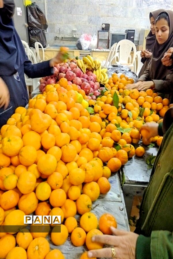 برگزاری پویش یلدای مهربانی در مدارس دخترانه شهرستان کاشمر