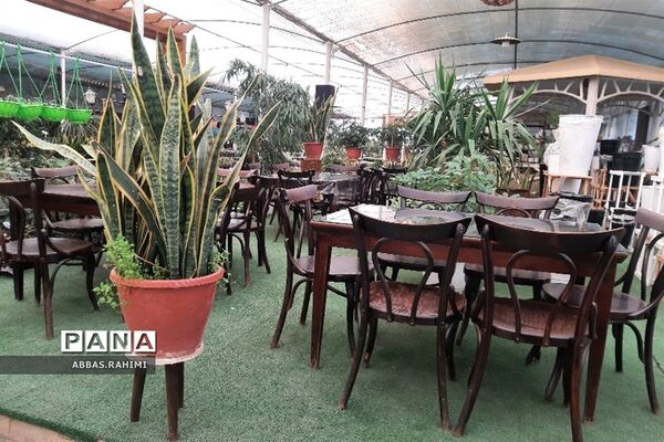 گلخانه‌های شهرستان  پاکدشت