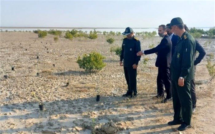 کاشت ۱۰۰۰ نهال حرا توسط بسیجیان بوشهر