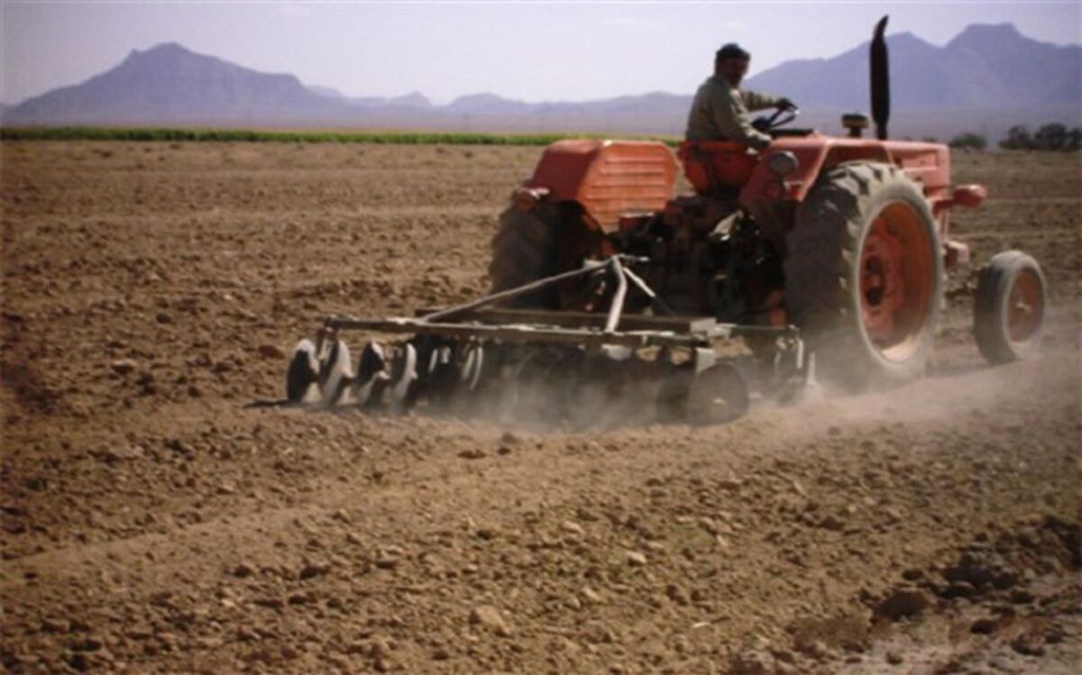 رشد اقتصادی ۳.۲ درصدی بخش کشاورزی در کشور