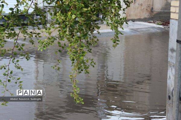 بارش باران و آبگرفتگی معابر در بوشهر