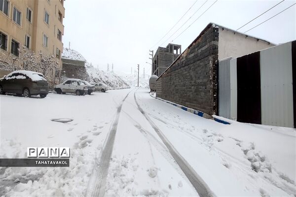 بارش برف زمستانی در پردیس