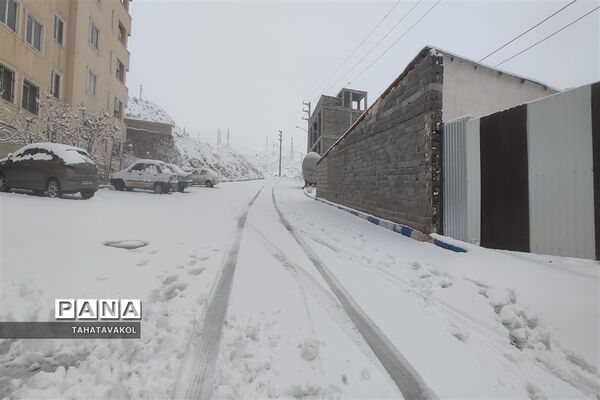 بارش برف زمستانی در پردیس